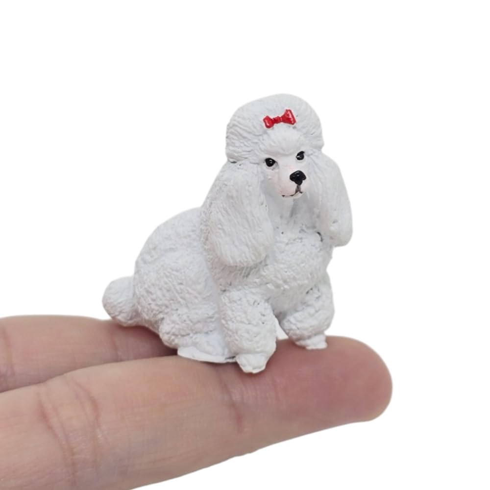 Amazon.com: WitnyStore 1½